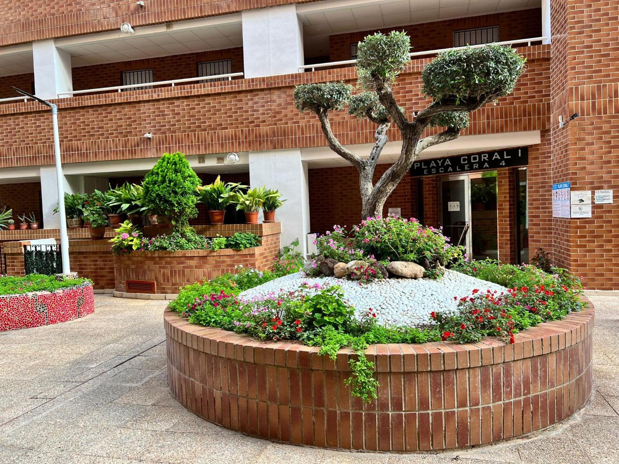 Playa Coral I Nº 1083 Apartamento Oropesa del Mar Exterior foto